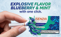 iSENZIA Polar Blueberry Crush 2026 – Non-Tobacco Heated Sticks | 10 Packs