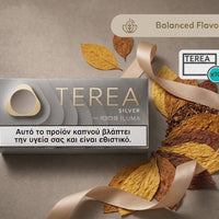 A pack of TERA Silver by iDOS ILUMA tobacco products shown on a textured taupe background, styled with dried golden leaves and a beige ribbon. The packaging is silver-gray with gold lettering and a white health warning label.