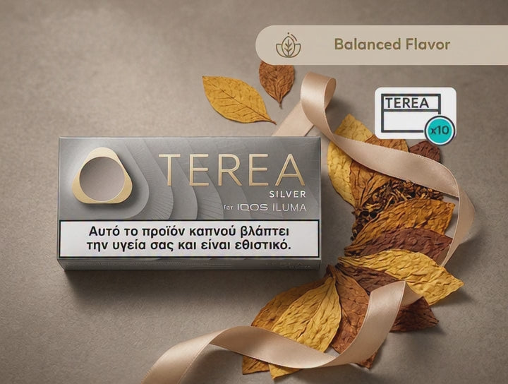 A pack of TERA Silver by iDOS ILUMA tobacco products shown on a textured taupe background, styled with dried golden leaves and a beige ribbon. The packaging is silver-gray with gold lettering and a white health warning label.